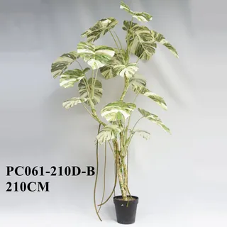 Artificial Monstera Deliciosa Albo Variegata 210CM